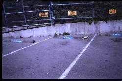 Parking Stars